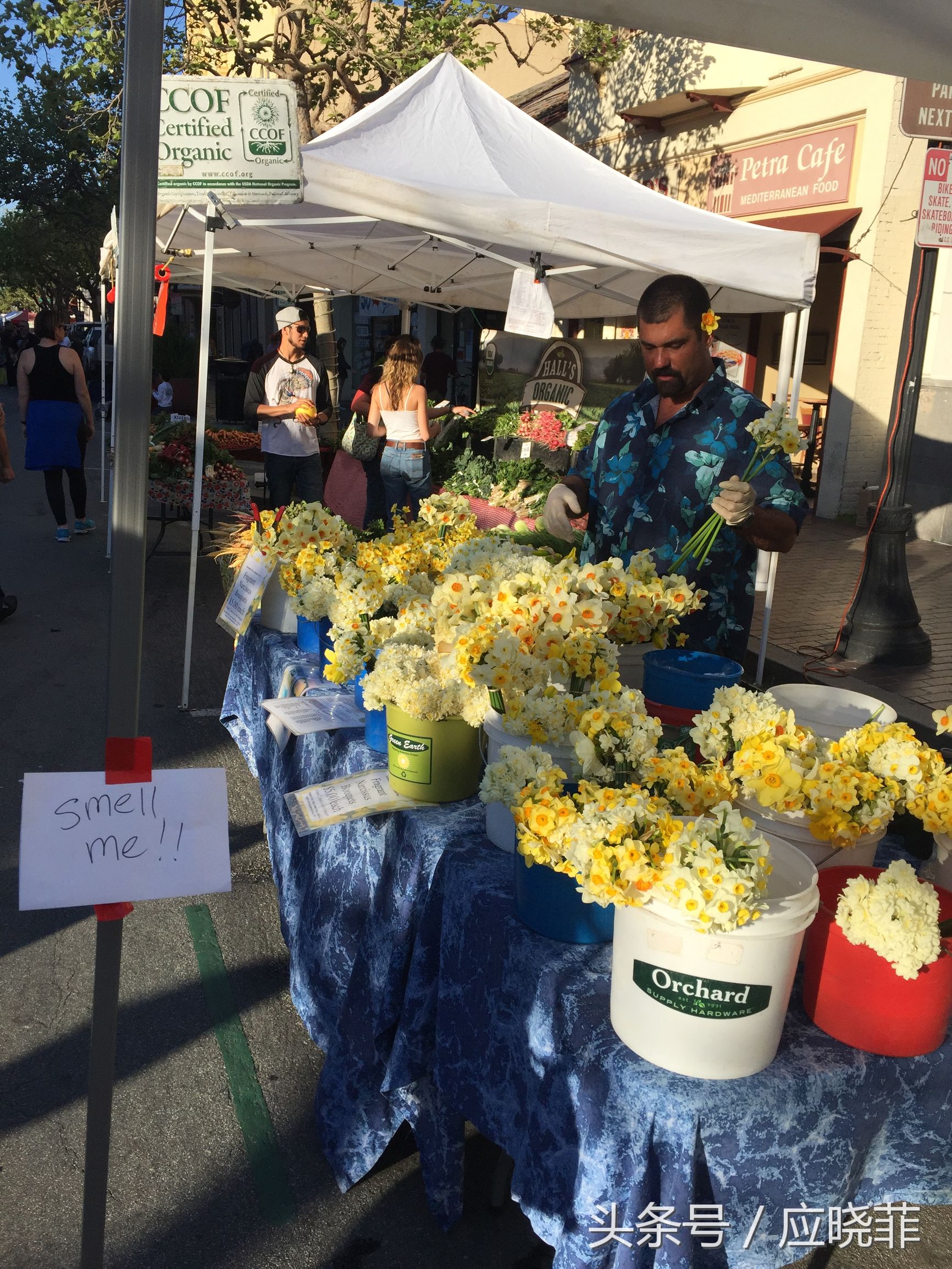 生活在别处米兰昆德拉,生活在别处英文