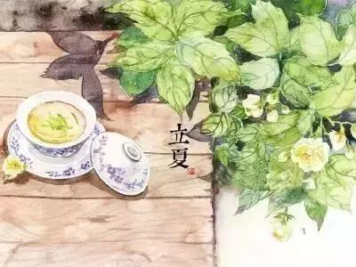 今日立夏告别春天迎来夏天,今日立夏完整版