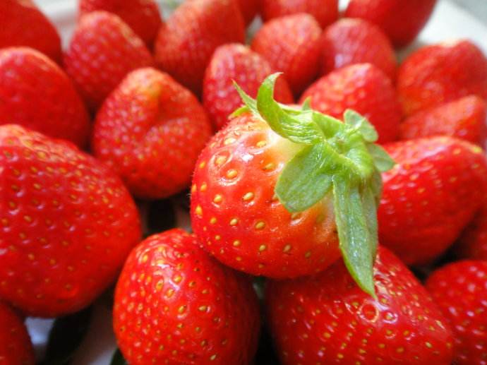 钓鱼时如何选用饵料味型,钓鱼饵料味型重要还是状态重要