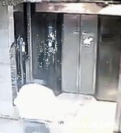 大妈一看就是老手，只是这次栽了！