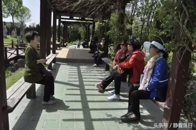 开怀一笑无忌惮,老怪小妖真齐全(红叶网老友聚会图文综合)