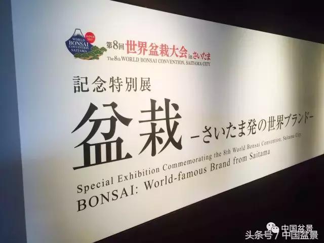 现在什么盆景最有前景,盆景创业未来前景如何