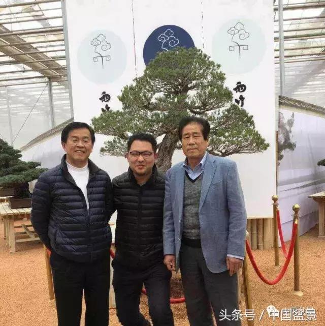 现在什么盆景最有前景,盆景创业未来前景如何