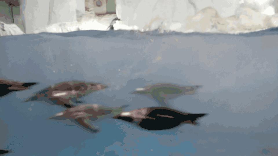 大连东北路有什么好玩的,大连哪里的海岸好玩