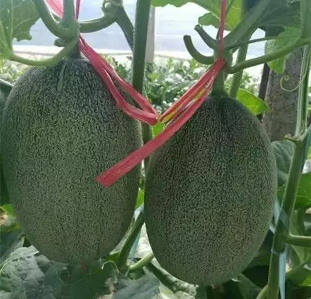 2016-2018年农产品市场需求,2024农产品市场数据分析报告