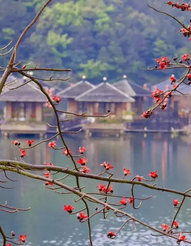 核心价值观57期,核心价值观之爱国敬业诚信友善