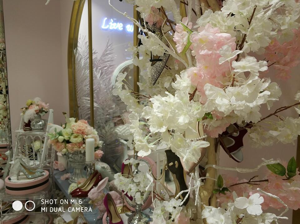 小米6拍照对比,小米6拍照水平