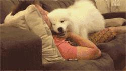 狗狗对人的爱，是缓解焦虑和抑郁症的良药，养狗好处这么多