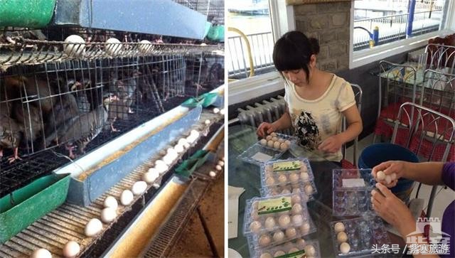 京津冀旅游农家院攻略,河北农家乐旅游攻略