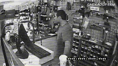 被哈士奇带大的狼，丧失狼族尊严，在家里经常被猫咪暴打