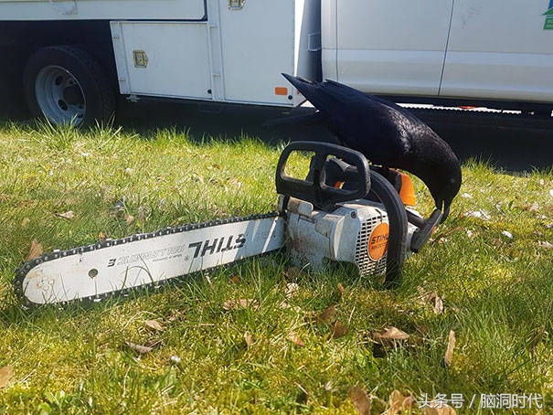 来！给鸦哥上支烟！