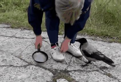 来！给鸦哥上支烟！