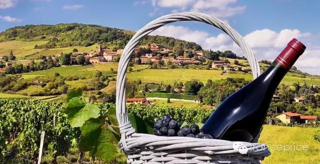 法国博若莱康帝旧桶红酒怎么样,法国2023年博若莱新酒