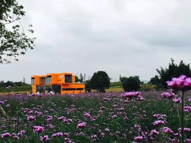 德阳低碳出行周边旅游民宿推荐,德阳好耍的民宿推荐