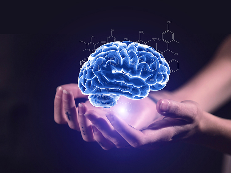 被微信套住的中国人