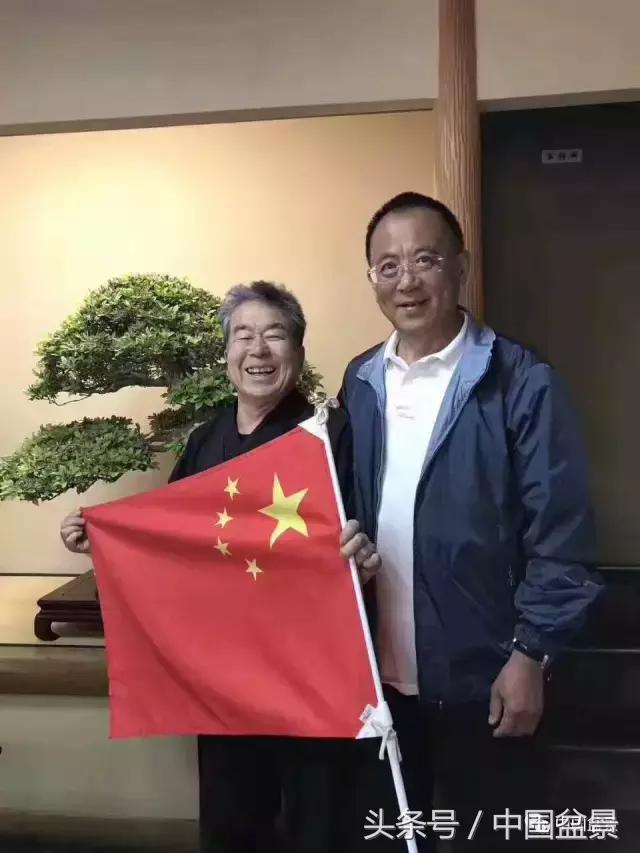 现在什么盆景最有前景,盆景创业未来前景如何