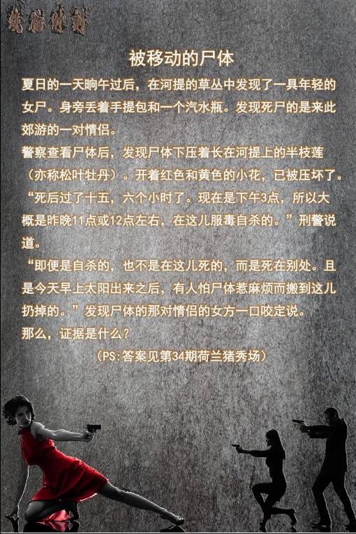 荷兰猪优势与劣势有哪些,荷兰猪的能力有多强