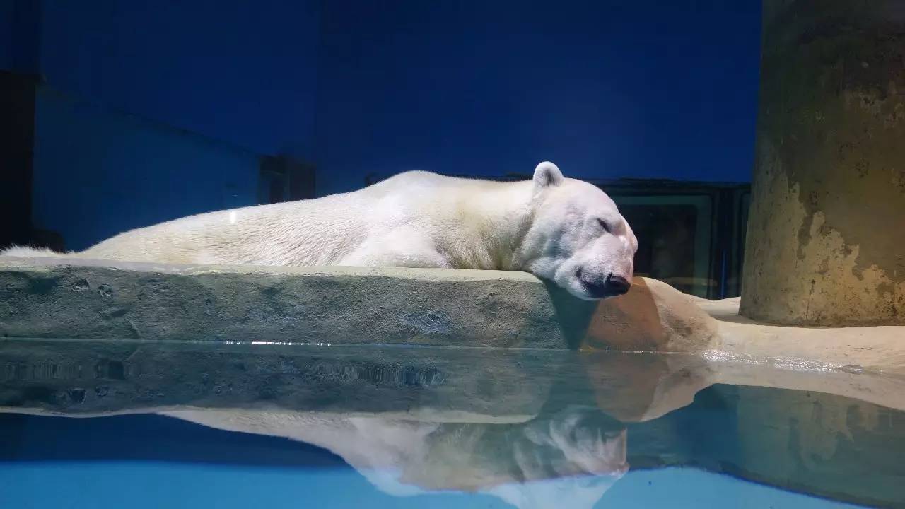 大连东北路有什么好玩的,大连哪里的海岸好玩