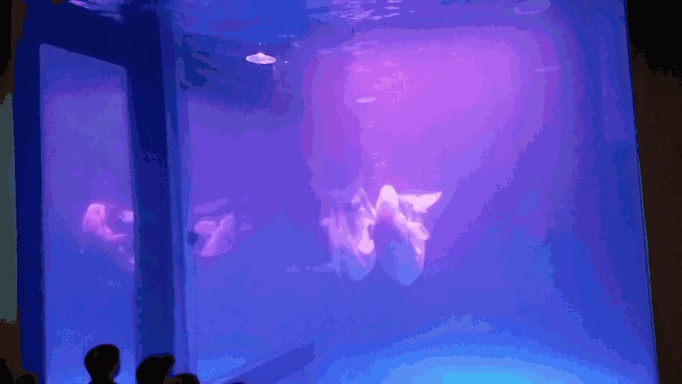 大连东北路有什么好玩的,大连哪里的海岸好玩