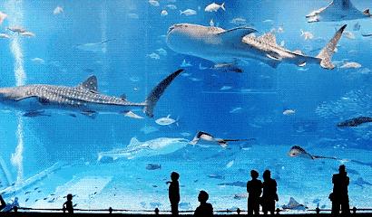 不出抚养费的男人：生而不养，就是缺德