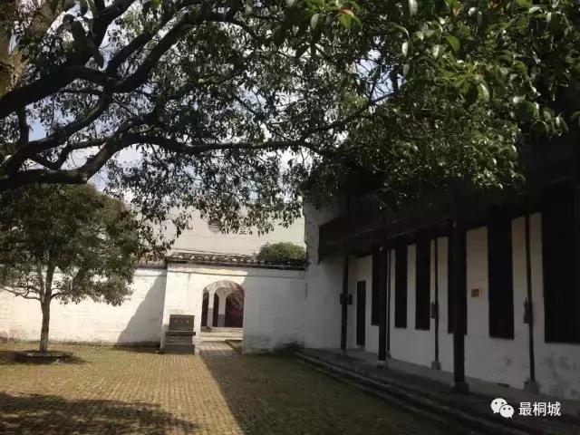 桐城市为什么这么发达,弹丸小城