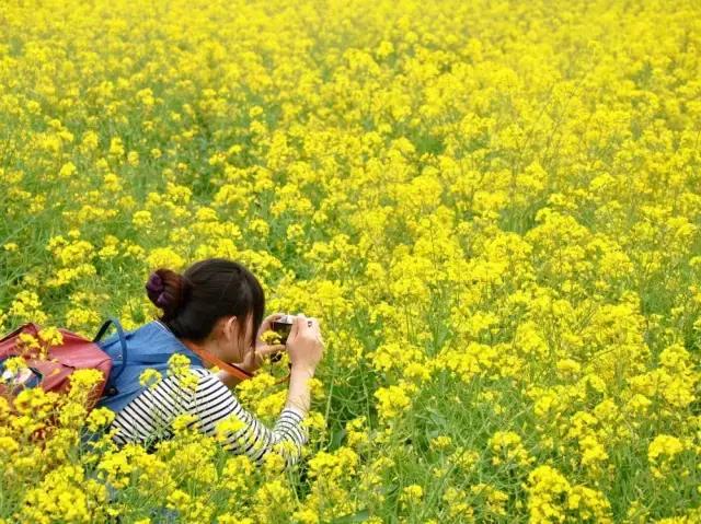 摄友作品点评,4月拍照