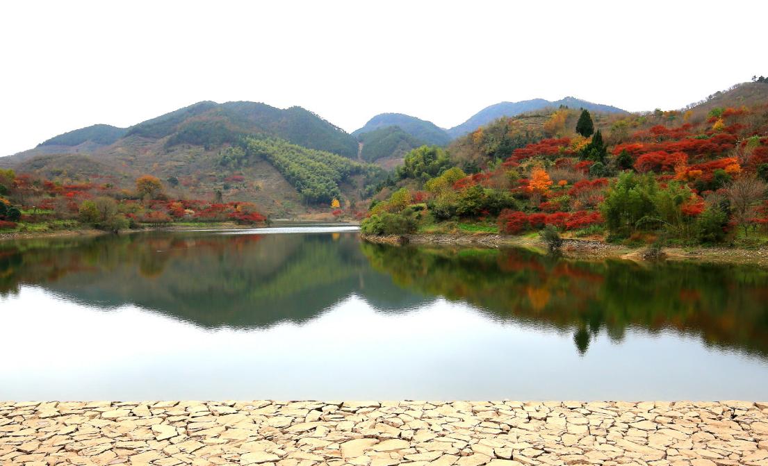 奉化水蜜桃蒋氏故里包装盒,奉化水蜜桃和无锡水蜜桃哪个最早