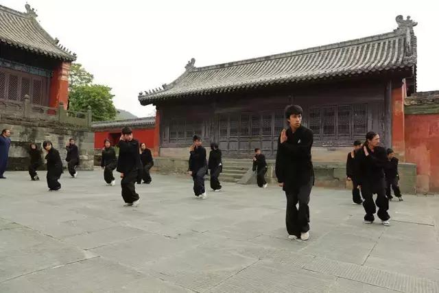 武当武术夏令营陈师行道长致辞,武当道长陈师行20米高空跳下