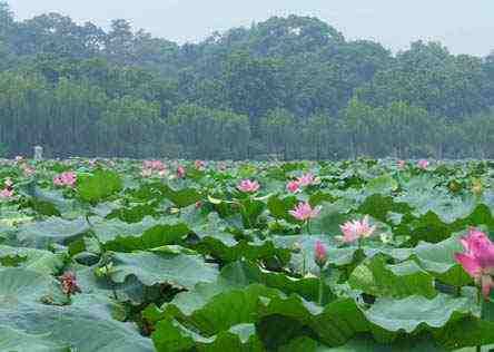 陆良的景点和小吃,曲靖陆良有名景点