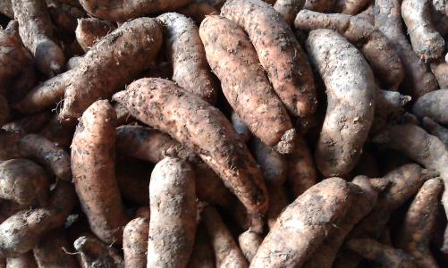 2023年药材最新价格行情,2020年1月25日中药材市场行情