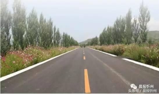 创文明城市特别策划：“我眼中最美春天”随后拍作品7