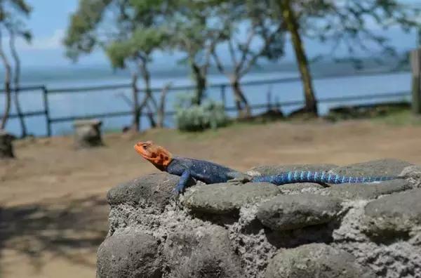 无需签证可以去旅游的国家,值得去的免签小众国家