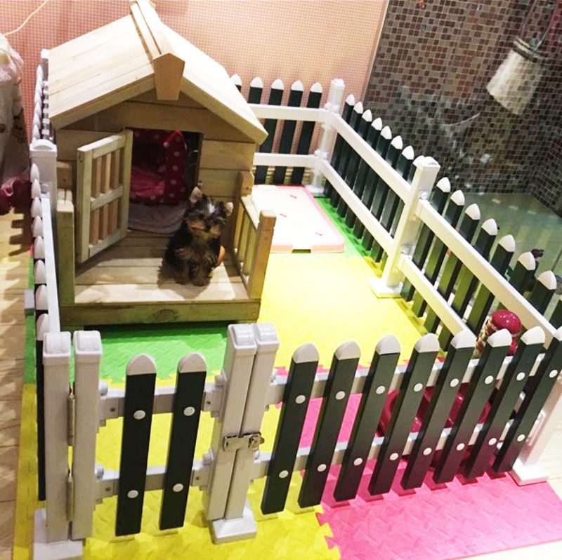 家有喵哥汪弟，体验好物帮你挑