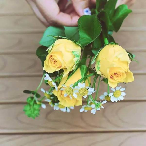 花艺步骤图,适合初冬的花艺