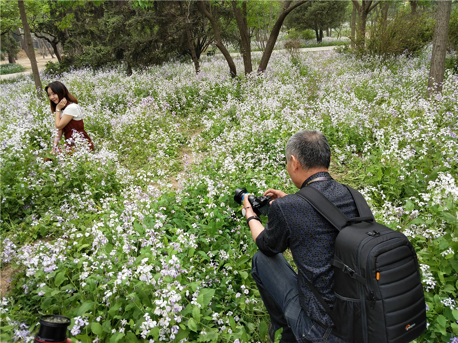 “劲捷杯”最美春·途摄影大赛兴隆公园外拍活动花絮