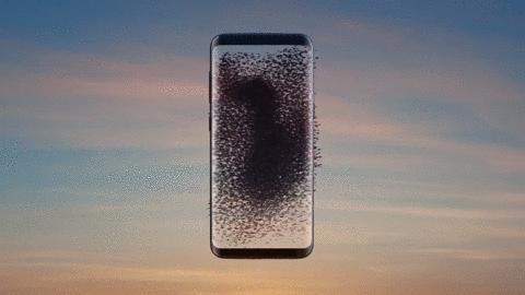 赵忠祥动物世界纪录片完整版,80年代赵忠祥动物世界视频