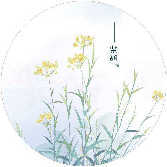 你肯定不知道中药还可以这么美