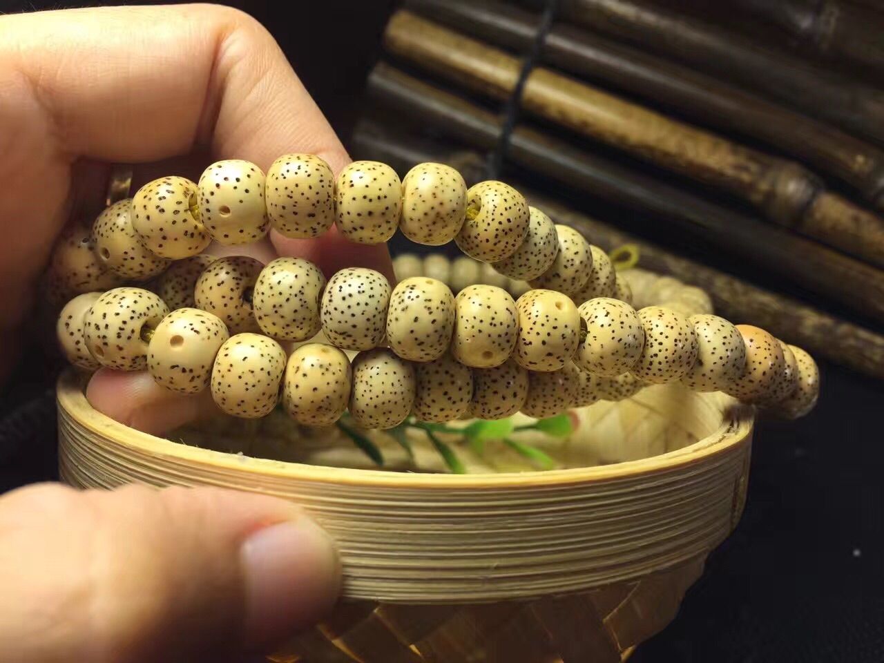 星月菩提陈籽玉化效果图,星月菩提陈籽为什么手感很干