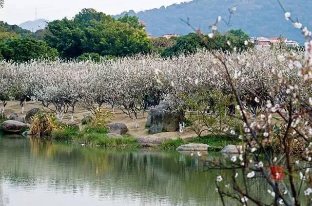 广州一座待了16年的城市,广州已经消失的客运站