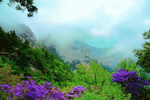 秋天南阳露营地推荐,五一南阳适合自带帐篷的露营地