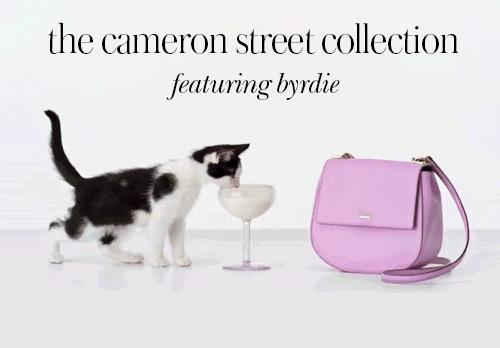 香港三千以内的包包有什么品牌,只剩三块钱可以买什么好用的东西