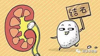 肾积水——尿都堵了，肾怎么能好