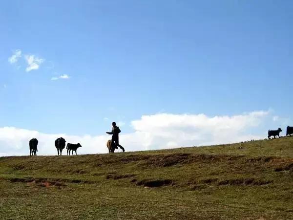 四川房车露营,川藏线上最火的房车露营基地