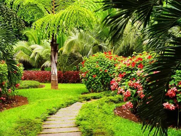 泼水节后，西双版纳该怎么玩，附防高温注意事项