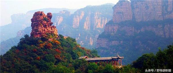 目前国内哪些证含金量高,国家含金量高的证有哪些