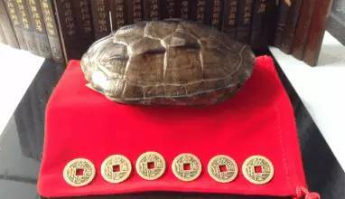 周易六十四卦中最好的一卦,周易三十七卦怎么解卦