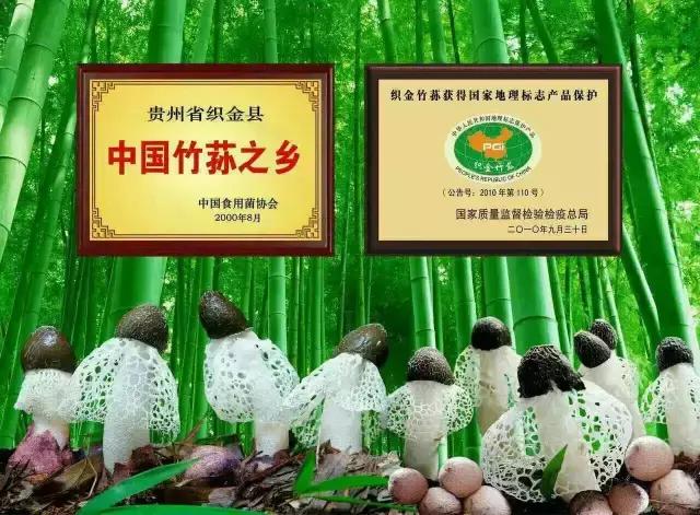 假如世界没有了人类世界会怎样,假如世界上没有元朝会怎样