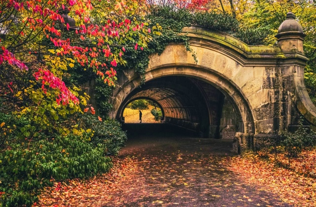 我怎么敢倒下我身后空无一人,我累了想倒下但身后空无一人