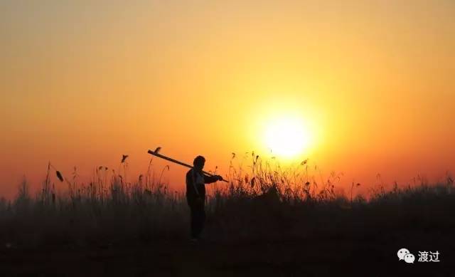 倪海厦讲解抑郁症治疗,何日辉治疗什么病最好