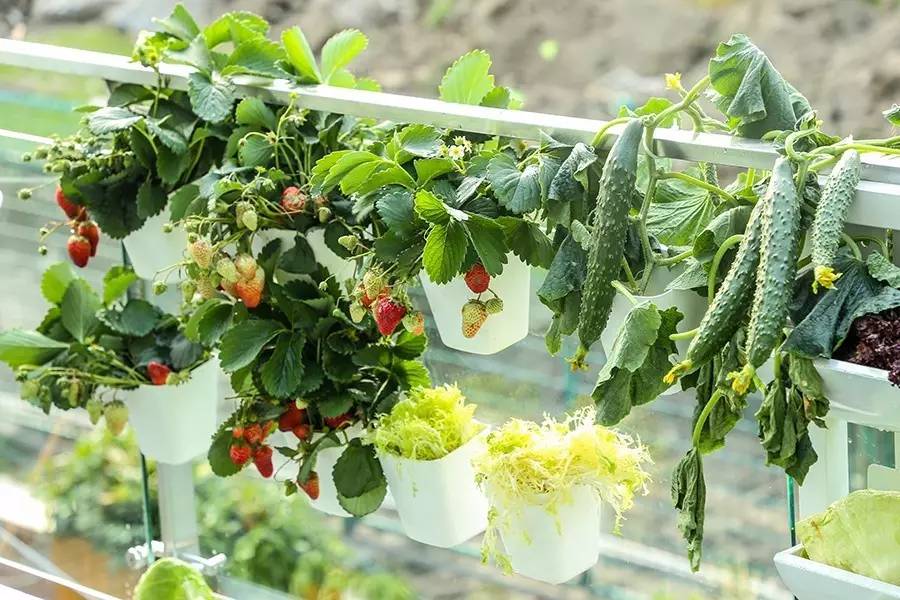 温馨的民宿也是旅行加分的存在,旅途中的好酒店